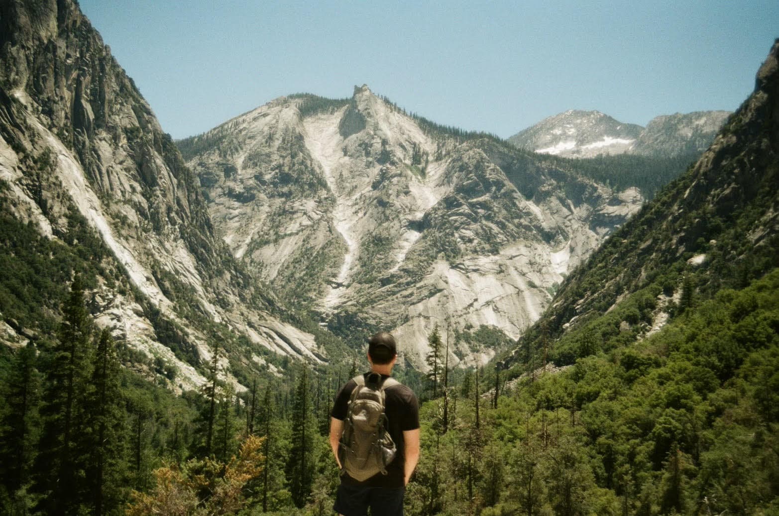 Steven Meyer - Software Engineer